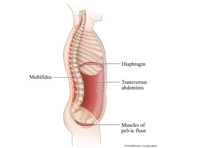 Pelvic pain and pressure caused by uterine fibroids