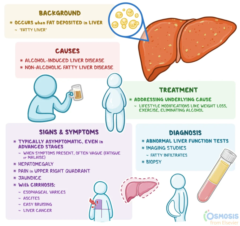EARLY SIGNS OF FATTY LIVER