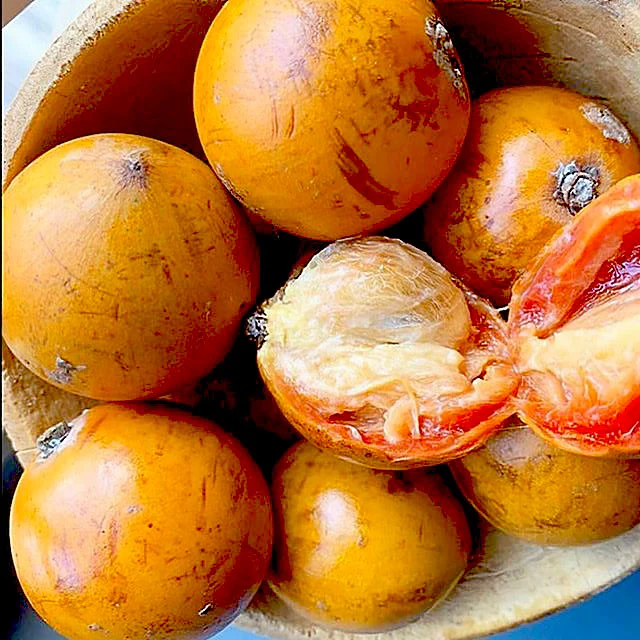 African Star Apple (Udara / Agbalumo)